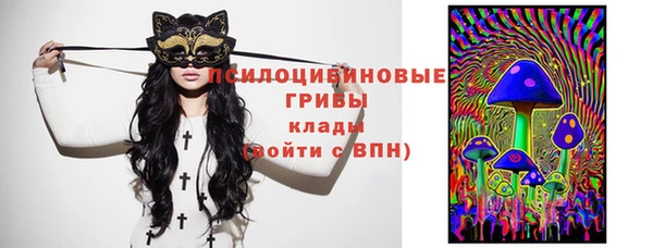 спиды Алзамай