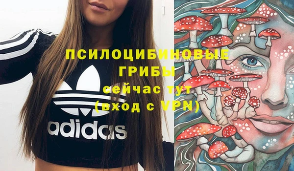 спиды Алзамай