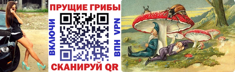 Псилоцибиновые грибы прущие грибы Николаевск