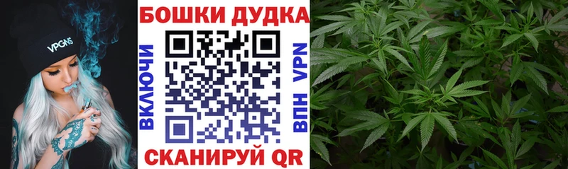 МЕГА ссылка  Николаевск  нарко площадка телеграм  Бошки Шишки планчик 